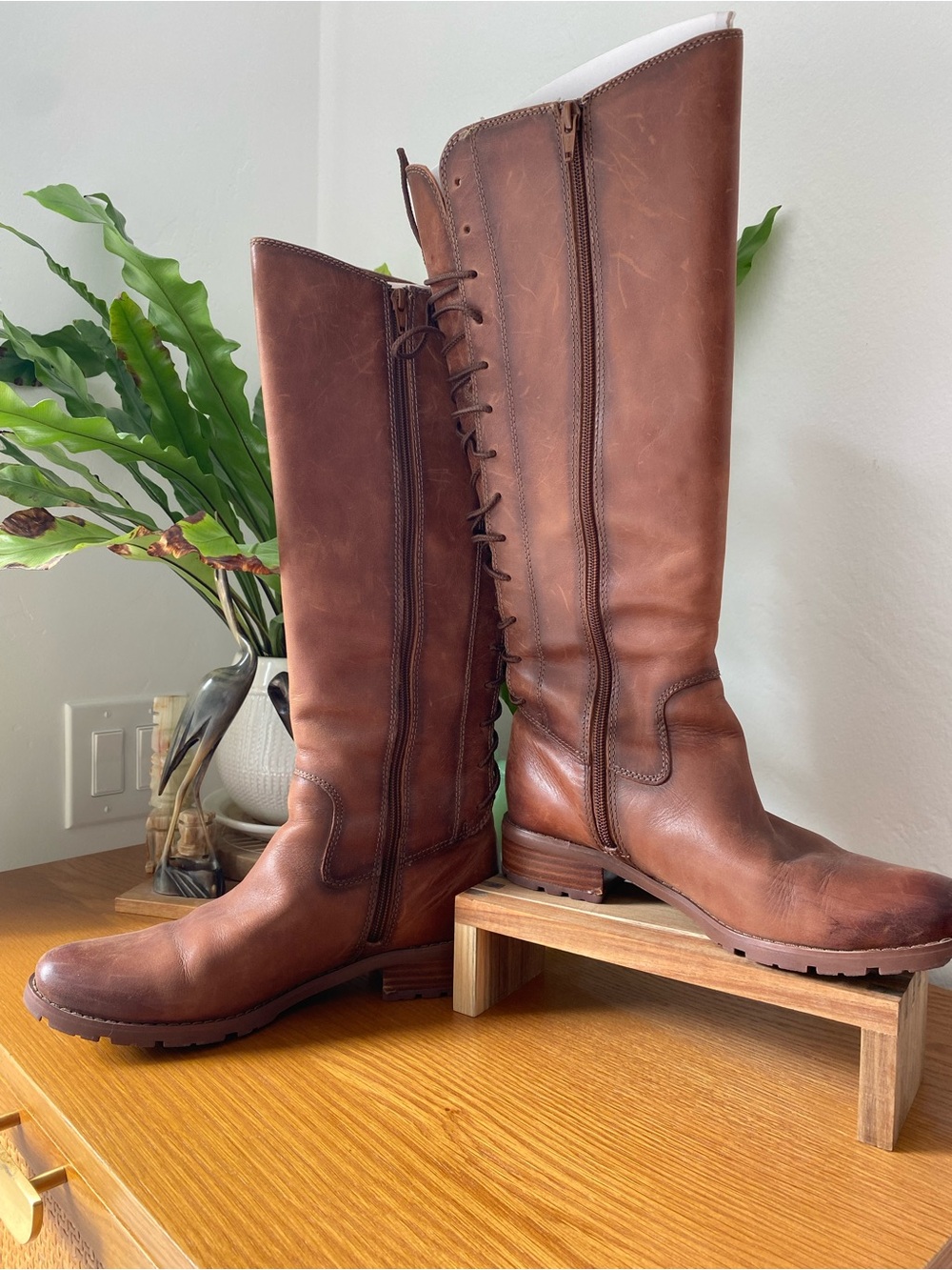 Sofft Sharnell ll Brown Leather Tall Lace-Back Riding Boots